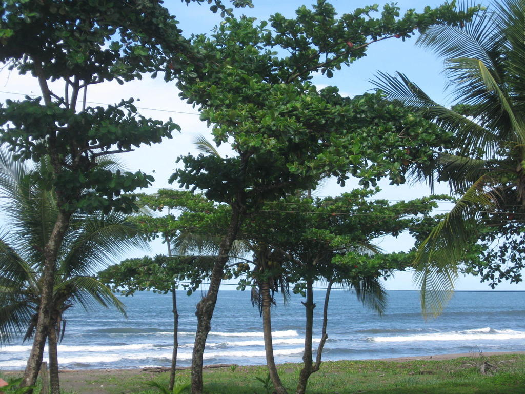 Cabinas Miss Miriam 2 Tortuguero Esterno foto