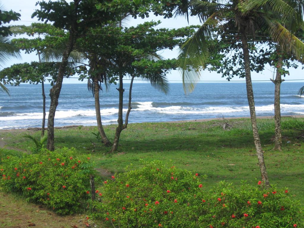 Cabinas Miss Miriam 2 Tortuguero Esterno foto