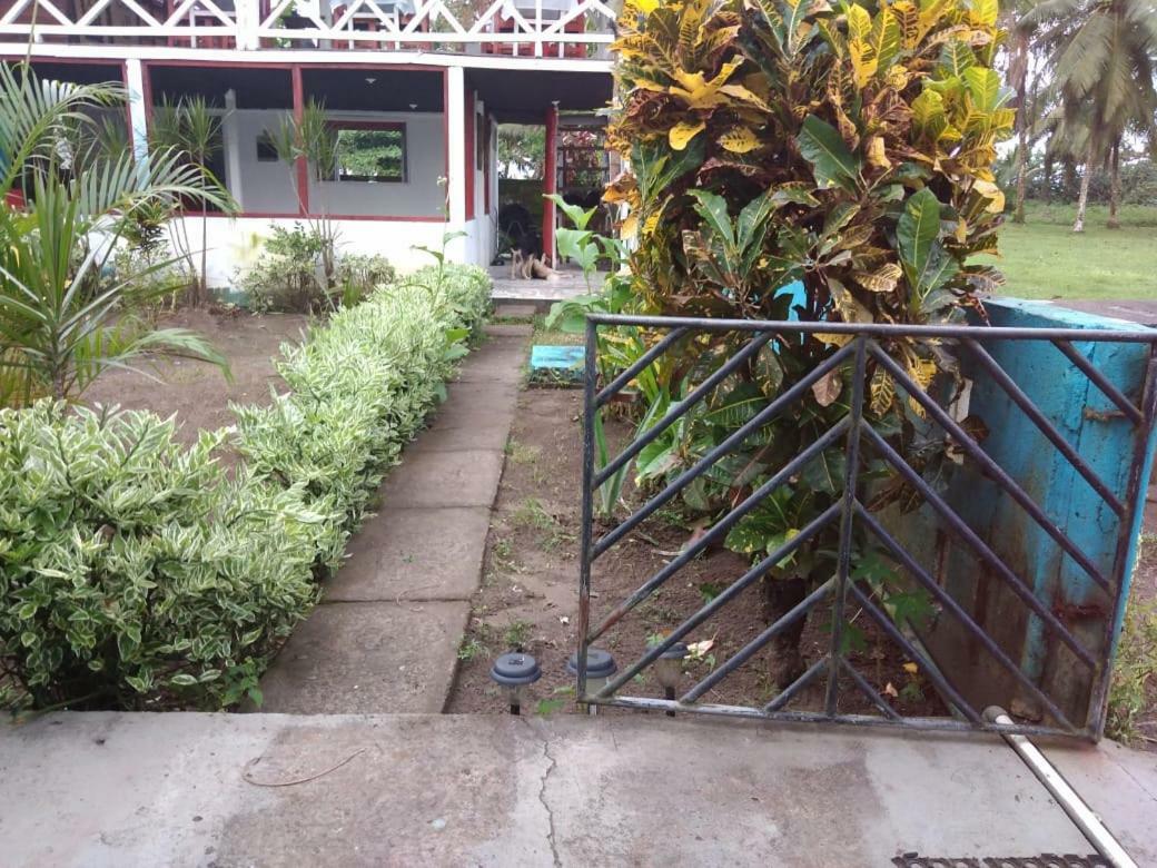 Cabinas Miss Miriam 2 Tortuguero Esterno foto